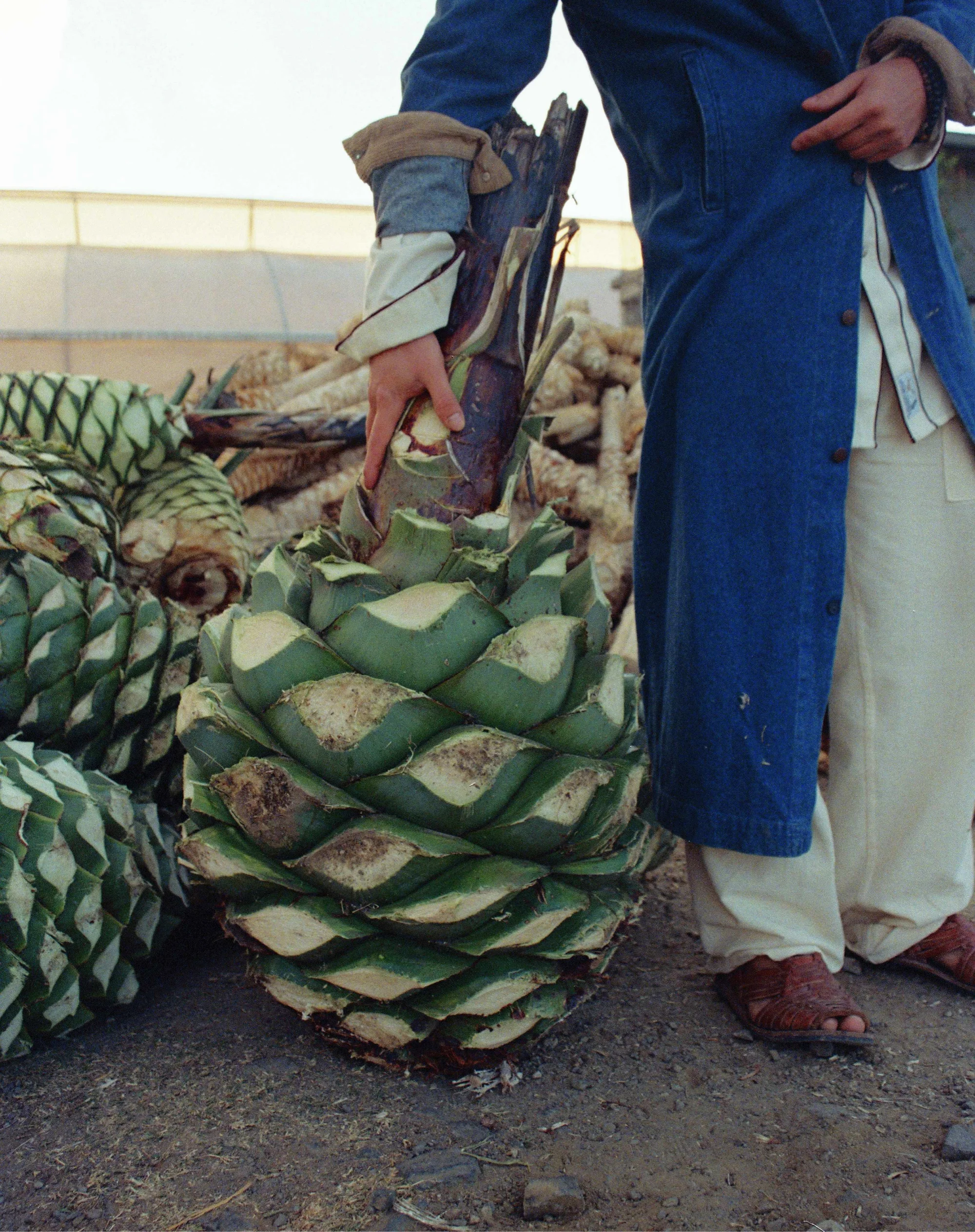 De Ella Mezcal