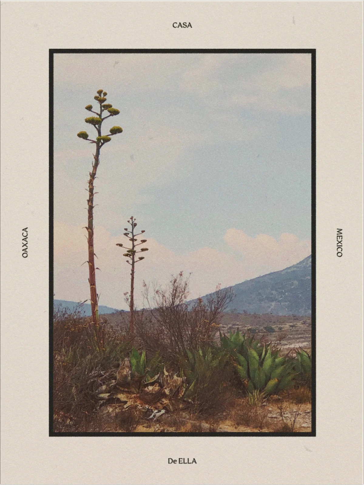 De Ella Mezcal