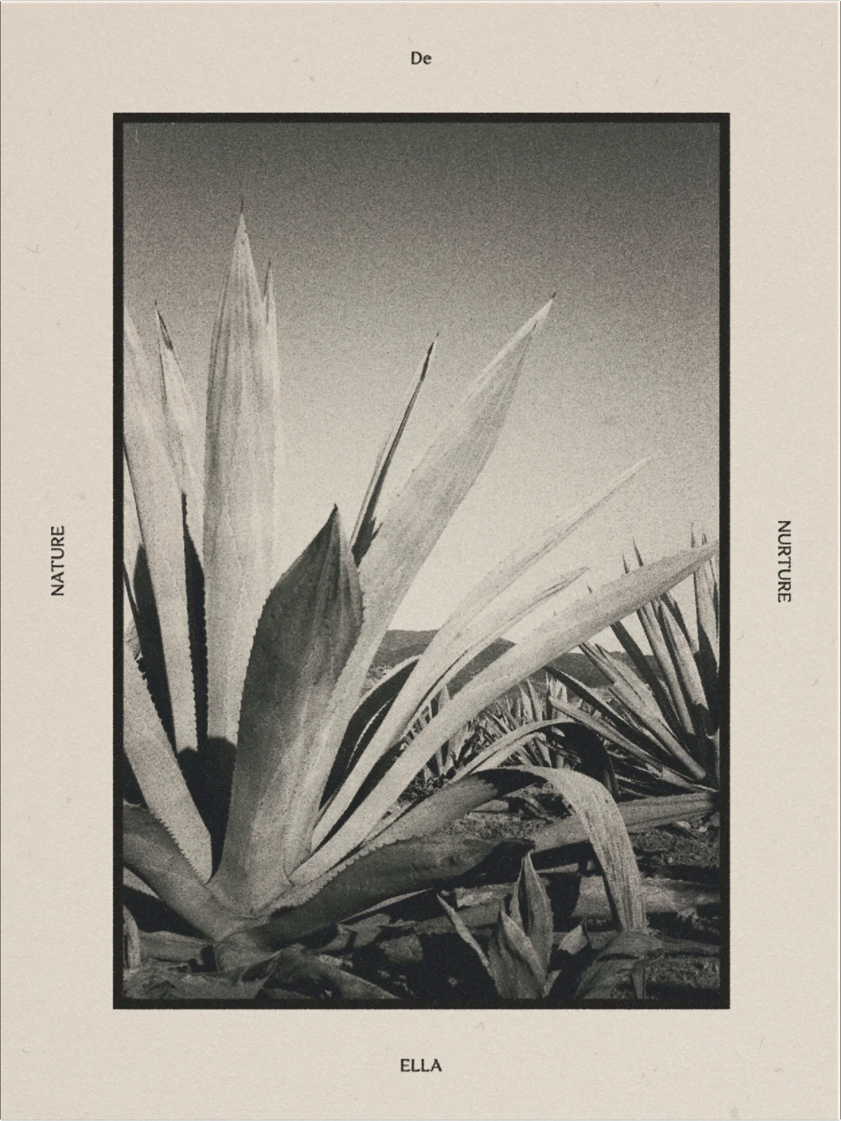 De Ella Mezcal